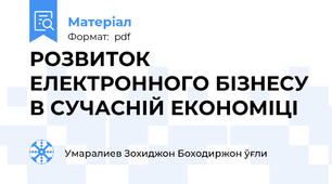 РОЗВИТОК ЕЛЕКТРОННОГО БІЗНЕСУ В СУЧАСНІЙ ЕКОНОМІЦІ