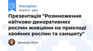 Презентація "Розмноження квітково-декоративних рослин живцями на прикладі хвойних рослин та самшиту"
