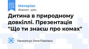 Дитина в природному довкіллі. Презентація "Що ти знаєш про комах"