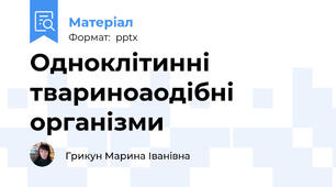 Одноклітинні твариноаодібні організми