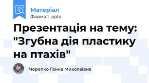 Презентація на тему: "Згубна дія пластику на птахів"