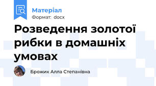 Розведення золотої рибки в домашніх умовах