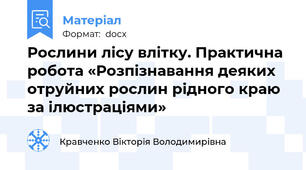 Рослини лісу влітку. Практична робота «Розпізнавання деяких отруйних рослин рідного краю за ілюстраціями»
