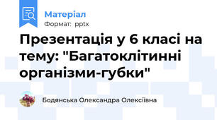 Презентація у 6 класі на тему: "Багатоклітинні організми-губки"