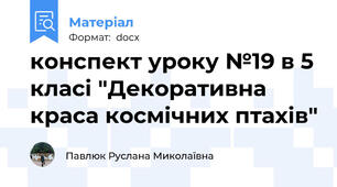 конспект уроку №19 в 5 класі "Декоративна краса космічних птахів"