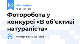 Фоторобота у конкурсі «В об’єктиві натураліста»
