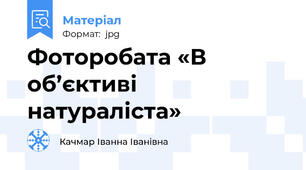 Фоторобата «В об’єктиві натураліста»