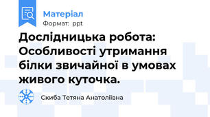 Дослідницька робота: Особливості утримання білки звичайної в умовах живого куточка.