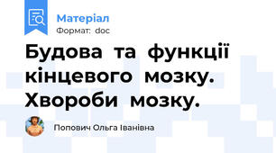 Будова  та  функції  кінцевого  мозку.  Хвороби  мозку.