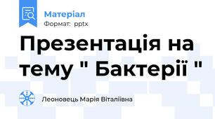 Презентація на тему " Бактерії "