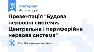Презентація "Будова нервової системи. Центральна і периферійна нервова система"