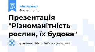 Презентація "Різноманітність рослин, їх будова"