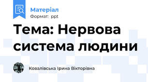 Тема: Нервова система людини