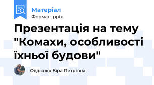 Презентація на тему "Комахи, особливості їхньої будови"