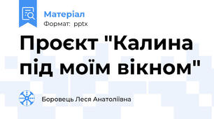 Проєкт "Калина під моїм вікном"