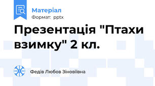 Презентація "Птахи взимку" 2 кл.
