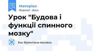 Урок "Будова і функції спинного мозку"