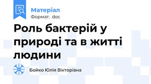 Роль бактерій у природі та в житті людини