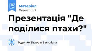 Презентація "Де поділися птахи?"