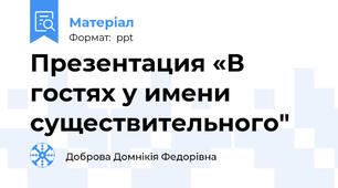 Презентация «В гостях у имени существительного"