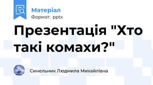 Презентація "Хто такі комахи?"