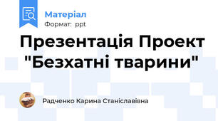 Презентація Проект  "Безхатні тварини"
