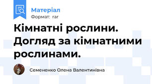 Кімнатні рослини. Догляд за кімнатними рослинами.