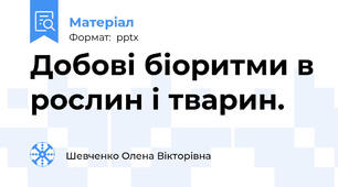 Добові біоритми в рослин і тварин.