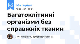 Багатоклітинні організми без справжніх тканин