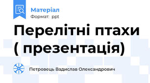 Перелітні птахи ( презентація)