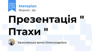 Презентація " Птахи "
