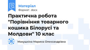 Практична робота "Порівніння товарного кошика Білорусі та Молдови" 10 клас