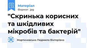 "Скринька корисних та шкідливих мікробів та бактерій"