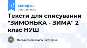 Тексти для списування "ЗИМОНЬКА - ЗИМА" 2 клас НУШ