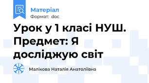 Урок у 1 класі НУШ. Предмет: Я досліджую світ