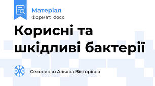 Корисні та шкідливі бактерії