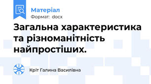 Загальна характеристика та різноманітність найпростіших.