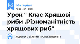 Урок " Клас Хрящові риби .Різноманітність хрящових риб"