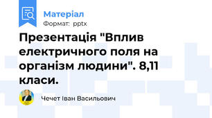 Презентація "Вплив електричного поля на організм людини". 8,11 класи.