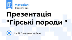 Презентація "Гірські породи "