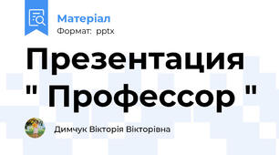 Презентация " Профессор "