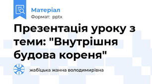 Презентація уроку з теми: "Внутрішня будова кореня"