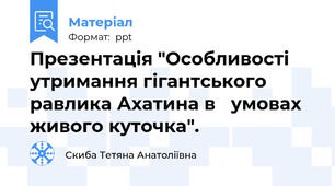 Презентація "Особливості утримання гігантського равлика Ахатина в   умовах живого куточка".