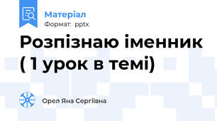 Розпізнаю іменник ( 1 урок в темі)