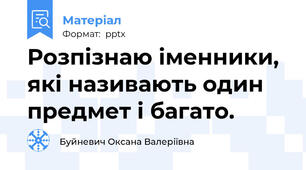 Розпізнаю іменники, які називають один предмет і багато.