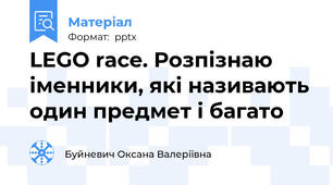LEGO race. Розпізнаю іменники, які називають один предмет і багато