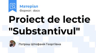 Proiect de lectie "Substantivul"