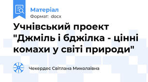 Учнівський проект "Джміль і бджілка - цінні комахи у світі природи"