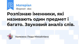 Розпізнаю іменники, які називають один предмет і багато. Звуковий аналіз слів.