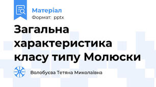 Загальна характеристика класу типу Молюски